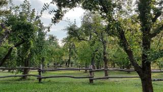 Augustusgabe Barby - 2