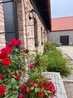 Cuda Wianki Mazury - 8