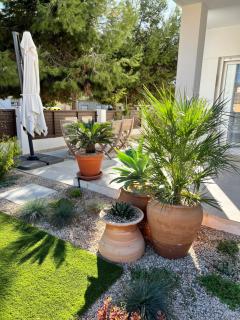 Apartment Lemon Tree - San Pedro del Pinatar - 6