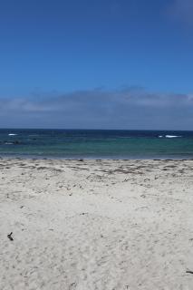 Bear Gully Coastal Cottages - Walkerville - 1