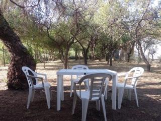 Casa Aguaribay para 4 personas, cerca del centro, Merlo San Luis - Merlo - 4