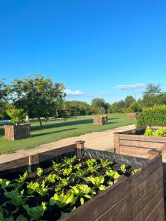 La Foresteria di Borgogelsi Apartments - 2