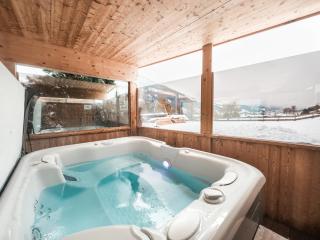 SportLodge' MOUNTAIN SUITE - Natural Pool, Whirlpool & Sauna by AlpenLuxus Appartements - Kleinboden - 4