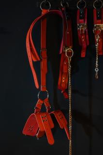 Erwachsenenhotel BDSM Apartment Hotel Emotion Apartments mit privater Sauna und Whirlpool - 4