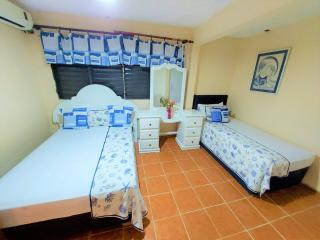 Complejo Villa Las Palmeras Piscina, Billar, Jardín, BBQ @drvacationsrental - Santa Bárbara de Samaná - 6