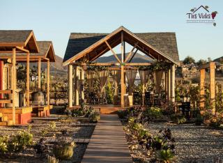 Tres Vides Hotel Boutique - Valle de Guadalupe - 2