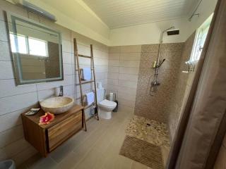 972B-Coin de verdure au pied de la Montagne Pelée - Le Morne Rouge - 6