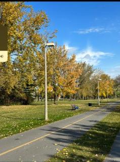 Cozy Spacious Work Friendly Lotus with Garden View High speed free Wi Fi and Parking Adjacent to Downtown Montreal - Montreal - 2