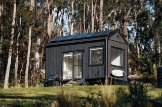 Tiny Sophie - Pambula - 2