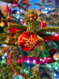 La Balade enchantée- gîte 6 personnes - Ardenne Belge - 5