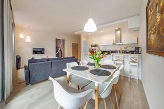 Meiguan with huge Terrace + extra 2 parking spots - Gdańsk - 7