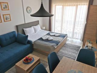 Ski&Spa Milmari L17 - Kopaonik - 4