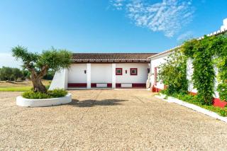 Monte da Pedra Torta - 4