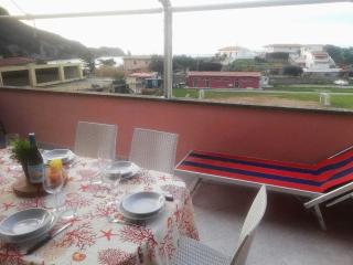 Sofia - Campese - 4