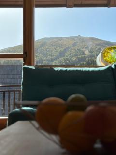 BJELAŠNICA BEX APARTMANI - Bjelašnica - 4