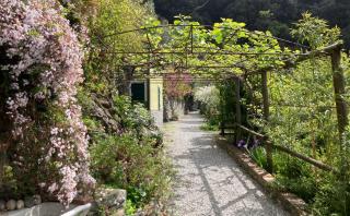 Villa Pietrafiore - Monterosso al Mare - 2