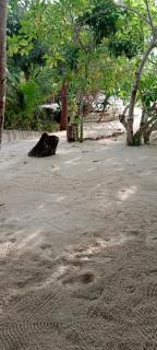 Saleo Pesona - Tapokreng - 6