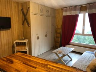 studio tout confort au pied des pistes du lioran - Laveissière - 7