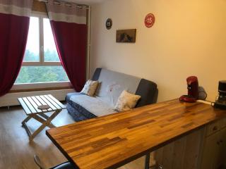 studio tout confort au pied des pistes du lioran - 9