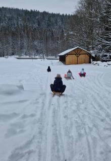 Zielony Jeleń - sauna i jacuzzi - 7