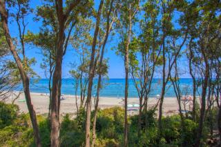 Les villas de Bagheera, oasis naturiste - 1