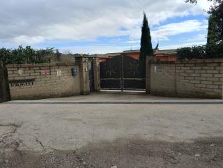 Tenuta Quadrone - Cura - 9
