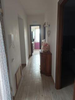 Tenuta Quadrone - Cura - 2