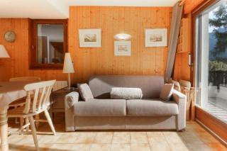 Les Terrasses de Planpraz - 8min Walk to Center - Quiet - Perfect for Hiking - Chamonix-Mont-Blanc - 4