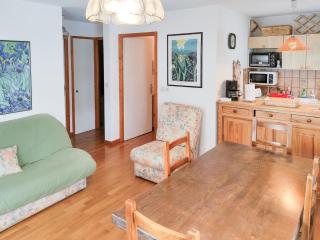 Chemin du Sapi - Private Garden - Center of Cham - MontBlanc Views - 1