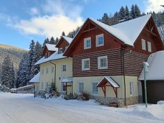 Apartmány Lékařský dům - 1