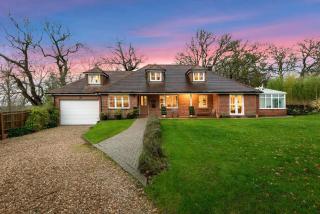 New Forest Cottages - Godshill - 9