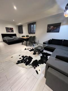Apartmány Pískovna Assen - 5