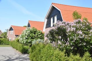 Luxe Vakantiewoning - Oostkapelle - 8