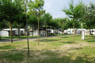 Camping Internazionale - Sottomarina di Chioggia - Chioggia - 5