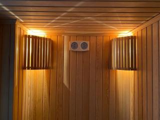 Rose 3 Wonderful 1+1 Cleopatra - 9