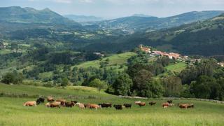 Conjunto Rural la Tejedora. Albergue y estudios familiares. - Rasines - 4
