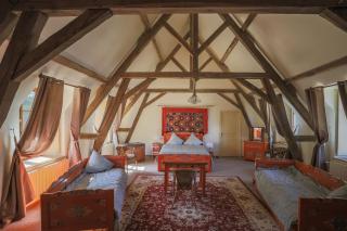 Le Nature Lodge - Gy-les-Nonains - 4