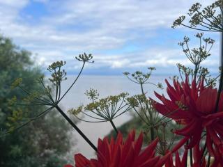 Blue Horizon - Clevedon - 1