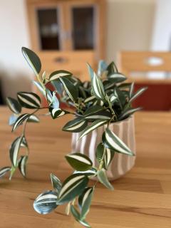 B205, schöne Ferienwohnung in Lahnstein a.d. Höhe - 2