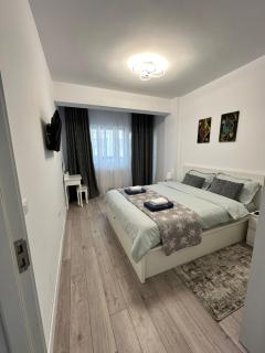 Angela Nordic apartment. - Suceava - 4
