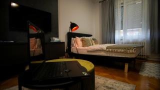 New Green Studio Apartment near Tvrđa - Osijek - 8