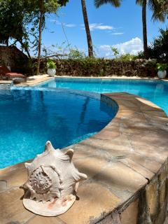 Villa Kipara - Private Beach & Pool - Pwani Mchangani - 3