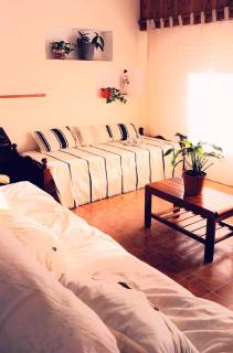 LA CASA DEL LIMONERO - Puerto Madryn - 2