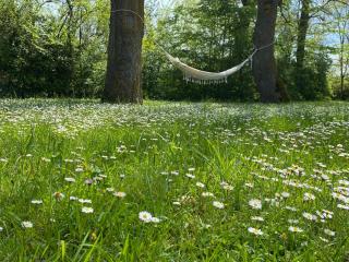 Gîte le Moulin Samsara - 5