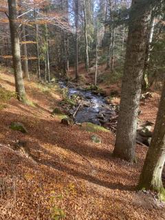 Ferienwohnung Lindenhof - 2