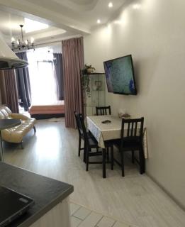 VIP apart 530 - Tbilisi - 4