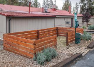 Buck Meadows Lodge - Groveland - 8
