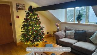 Llew Accommodation - The Townhouse - Beddgelert - 8