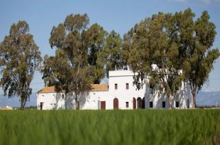 Mas Illa de Riu - Auténtica Masía del Delta del Ebro con capacidad para 20 personas - Deltavacaciones - Sant Jaume d'Enveja - 9