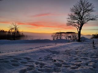 Holiday home near the ski lift - Winterberg - 1